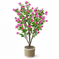 Japon Çiçeği Ağacı